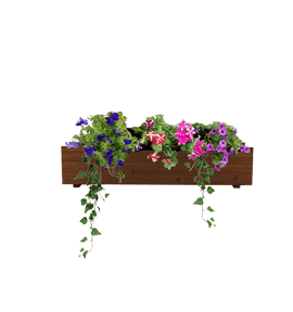 Wood Window Box with Trailing plantings