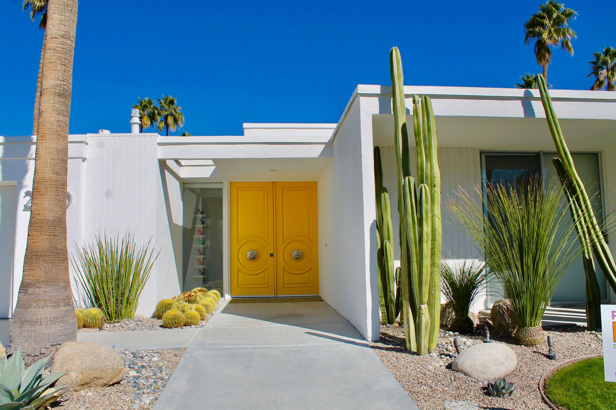 image of a white painted mid century modern house with tall yellow doors, with a xeriscaped front yard with palms and succulent cacti