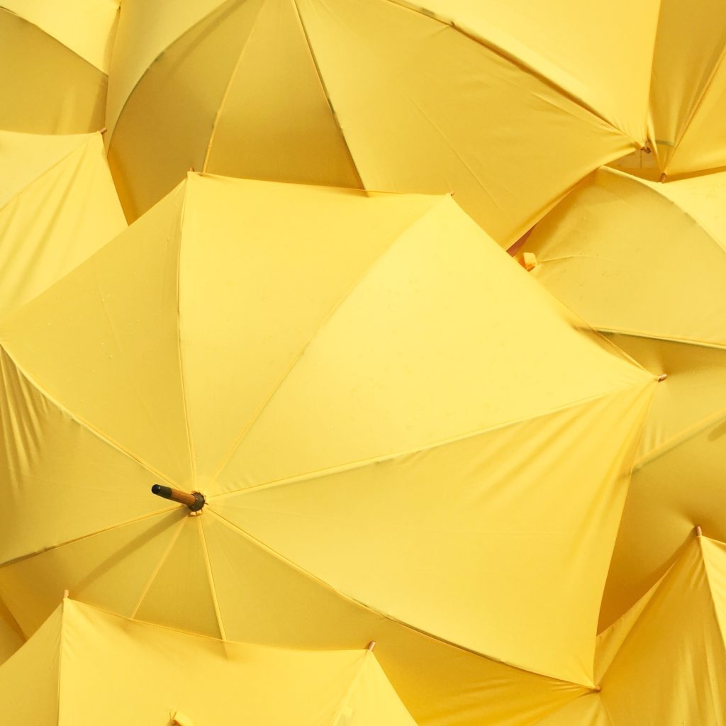 image of vibrant yellow umbrellas