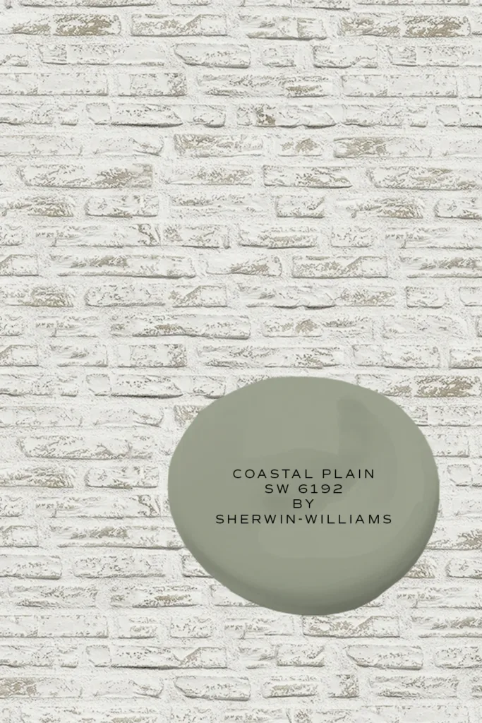 Avorio White Mineral Limewash Paint by Romabio with Coastal Plain SW 6192 by Sherwin-Williams