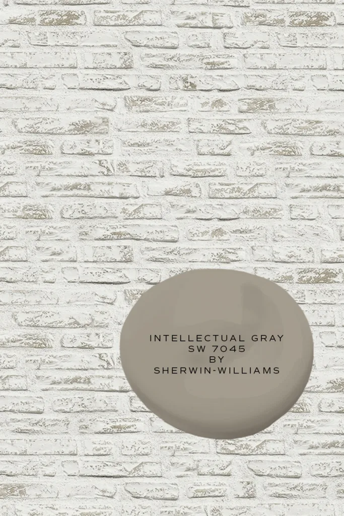 Avorio White Mineral Limewash Paint by Romabio with Intellectual Gray SW 7045 by Sherwin-Williams