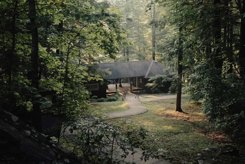 a dark house surrounded by woods